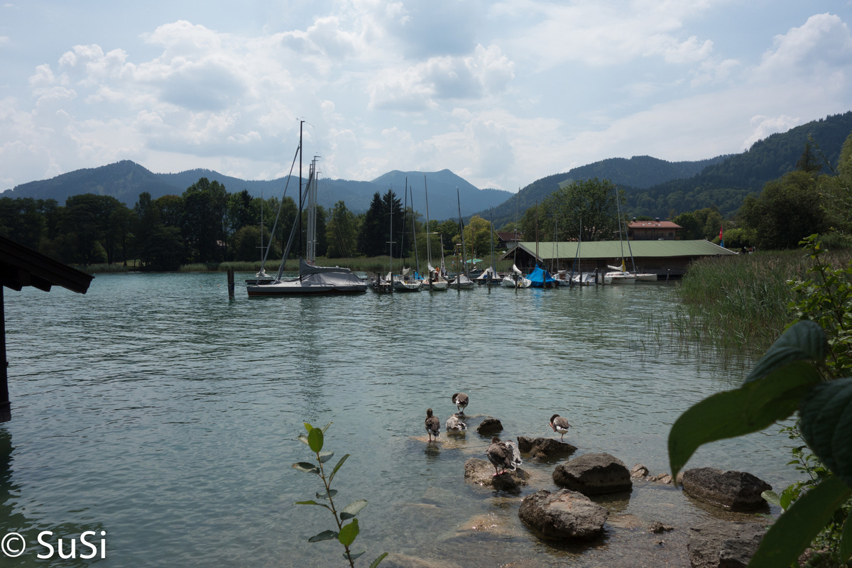 1457174445_2 1457174445_2