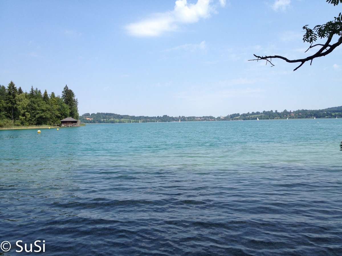 1457174678 1457174678