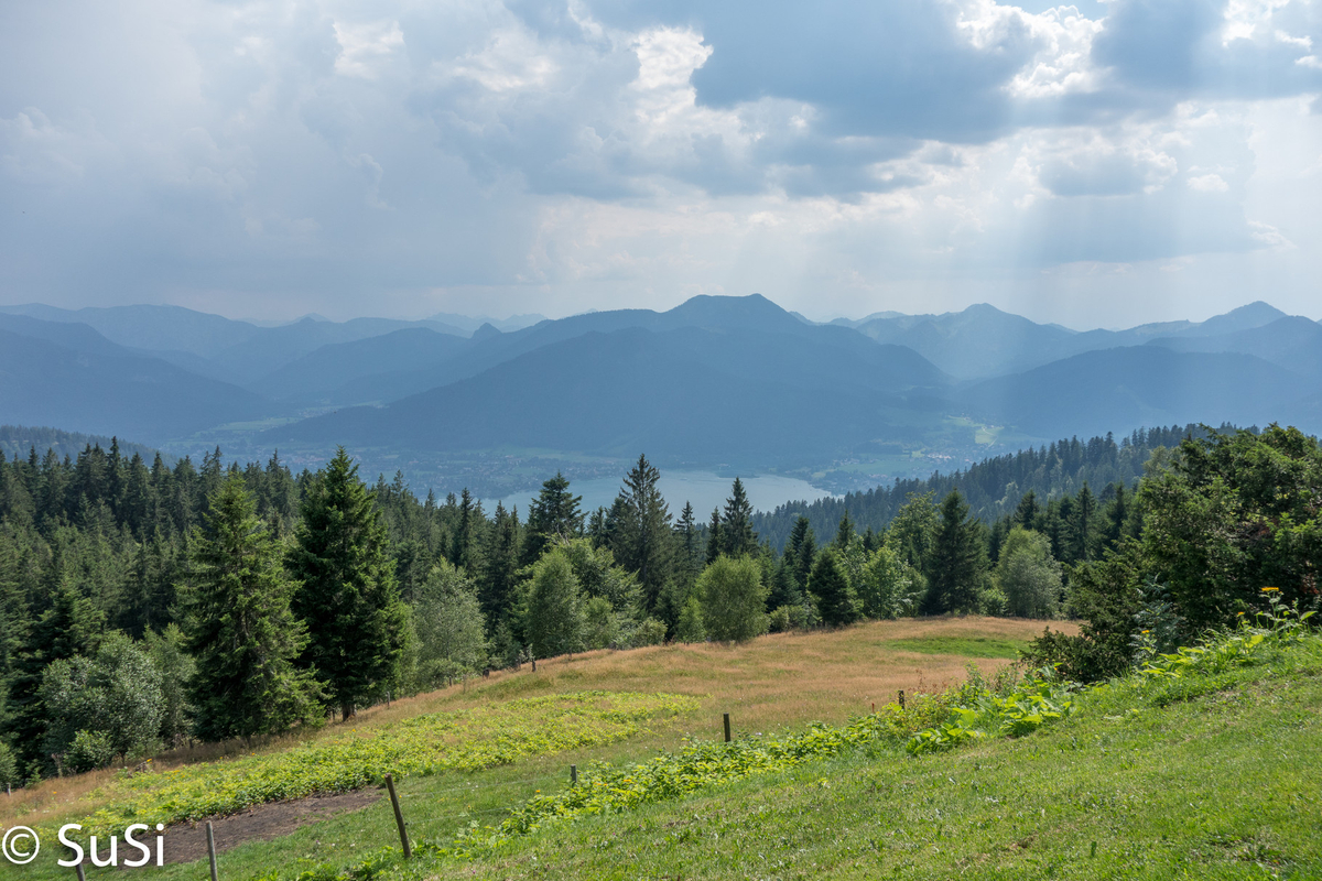 1457175128_2 1457175128_2