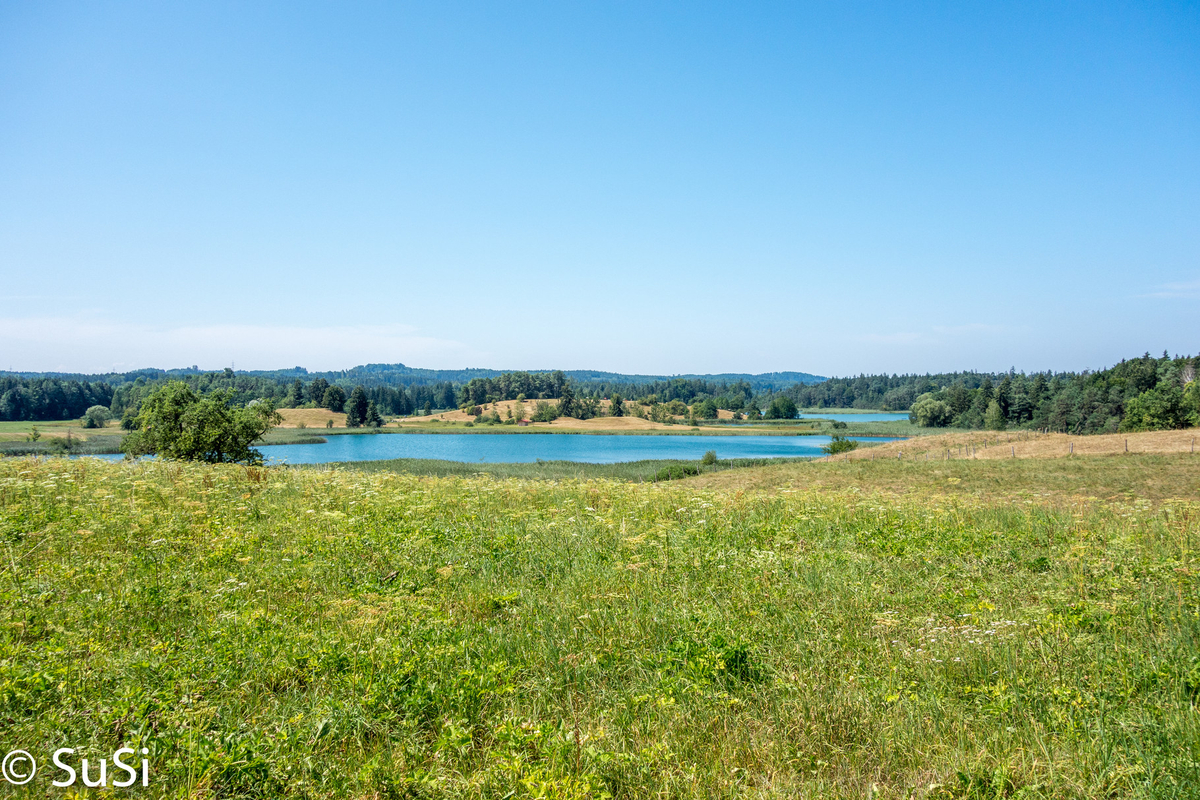 1457177861 1457177861