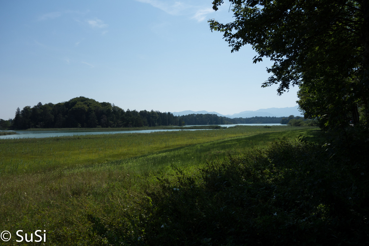 1457177861_2 1457177861_2