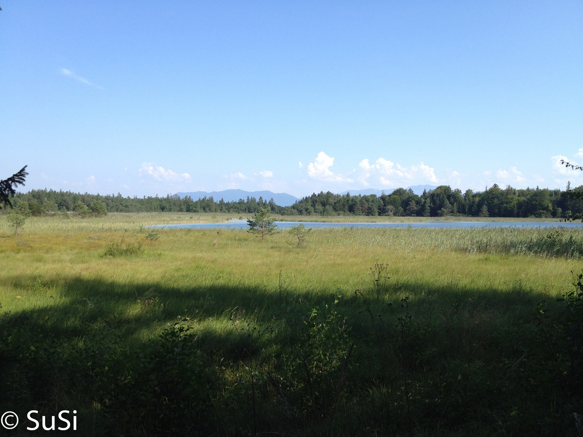 1457178311_3 1457178311_3