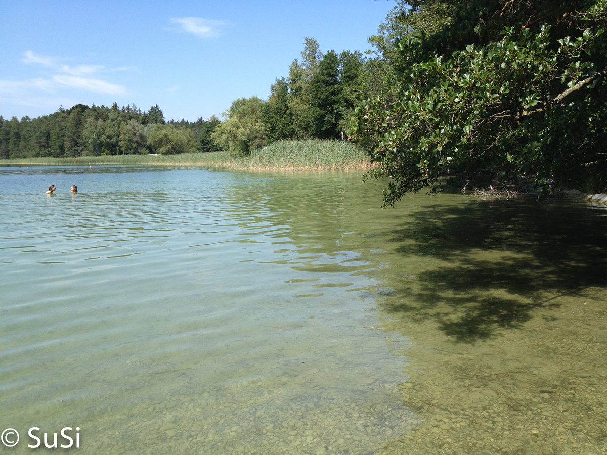 1457178311_5 1457178311_5