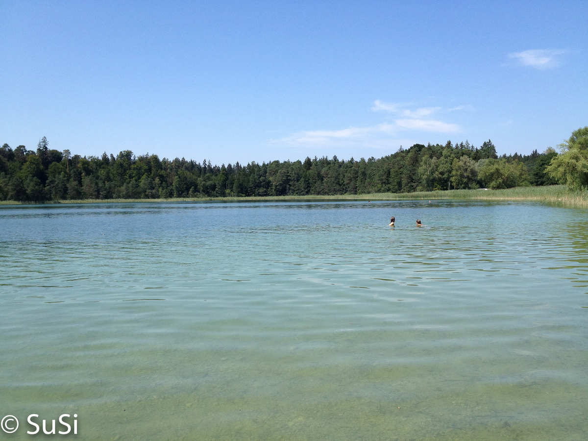 1457178311_6 1457178311_6