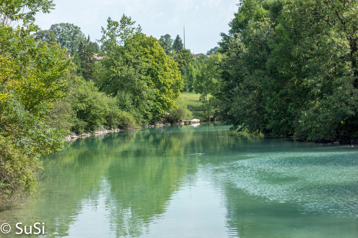 1457179104_2 1457179104_2