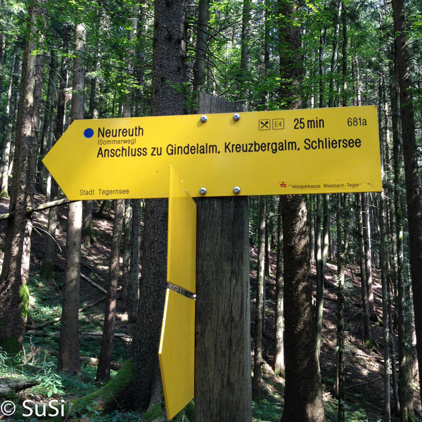 card image= card image=