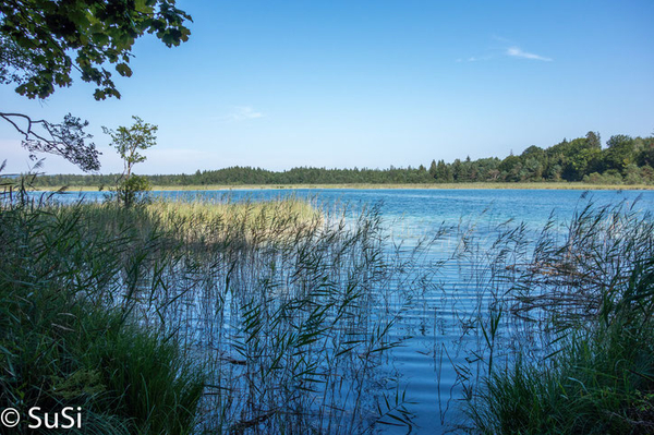 card image= card image=