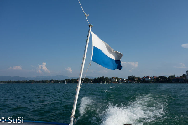 card image= card image=