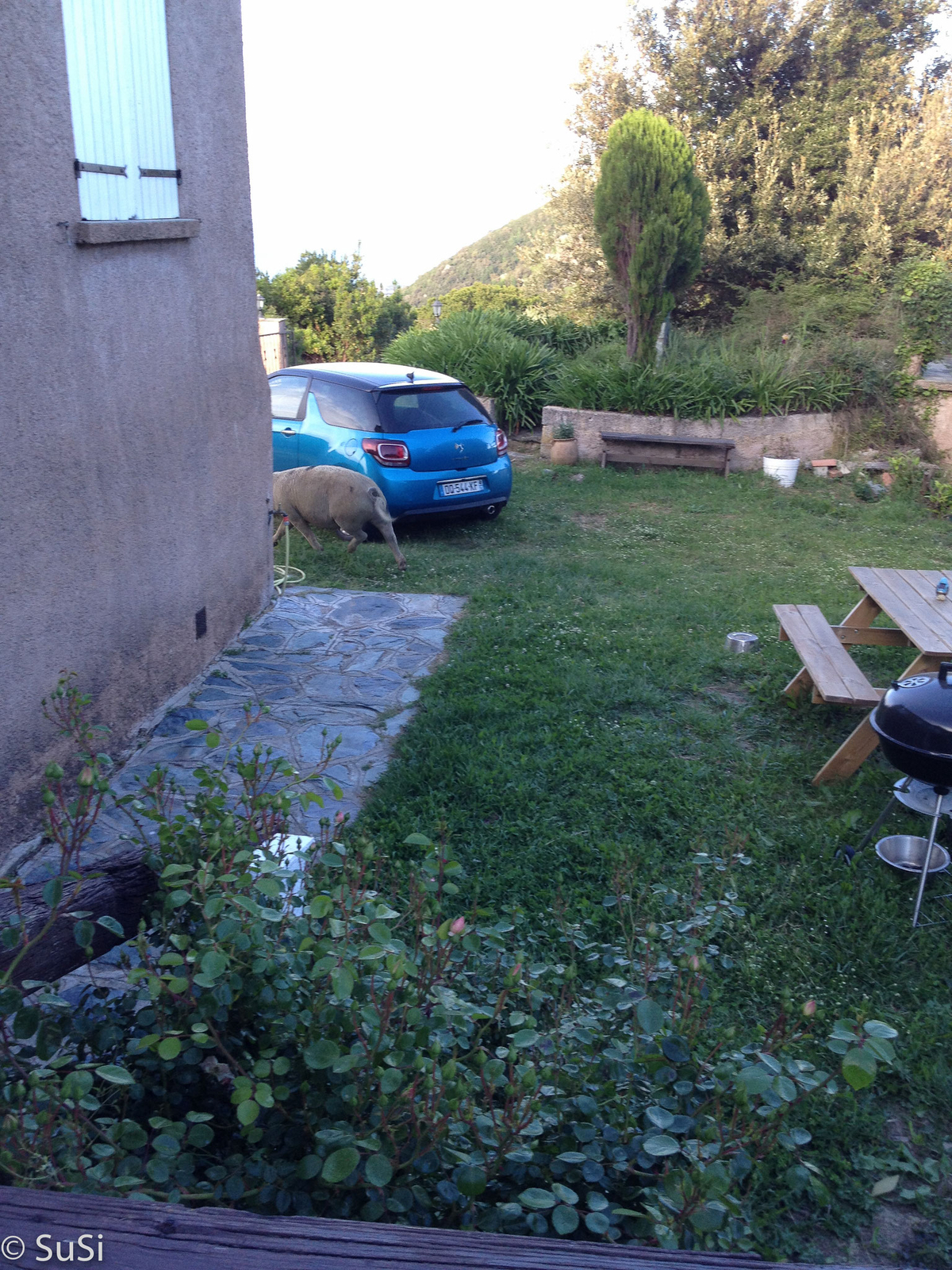 ..Besuch im Garten…