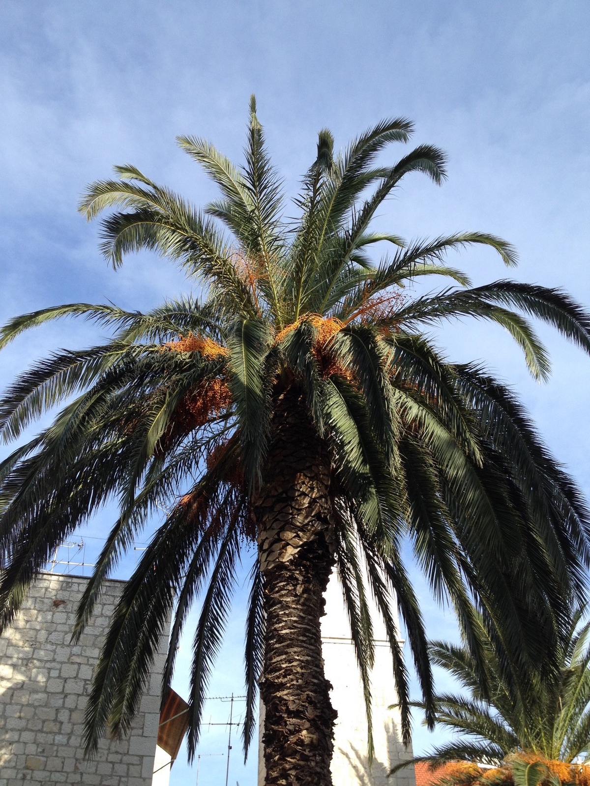 1453050076_2 1453050076_2